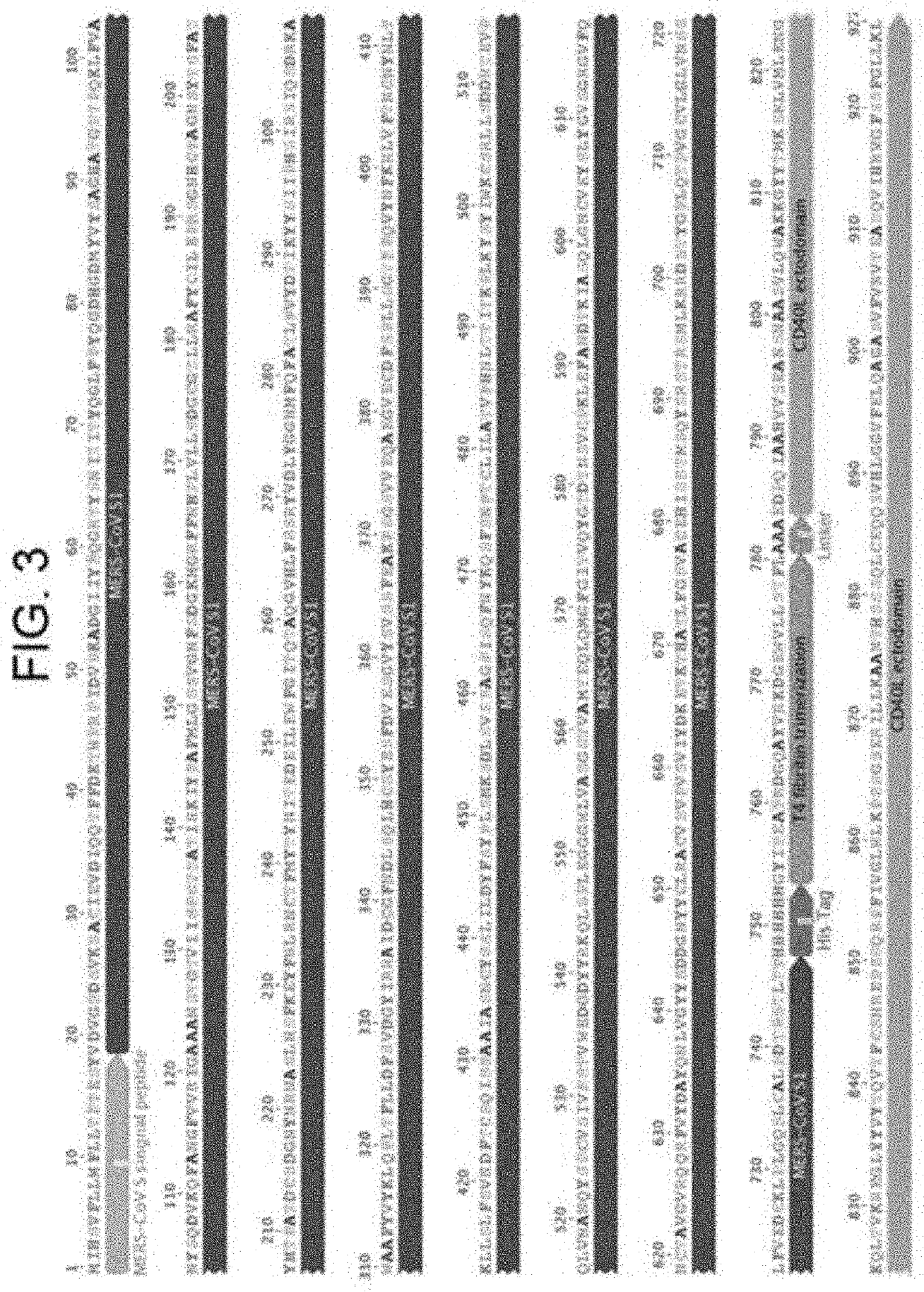 Composition and method for treating MERS