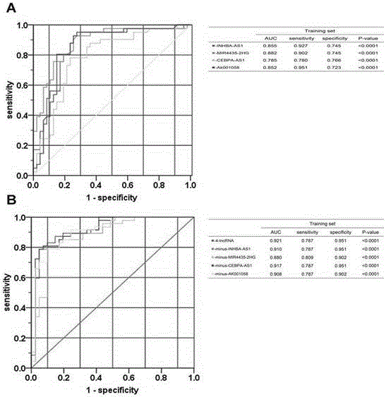 Gastric cancer RNA molecular marker and application thereof