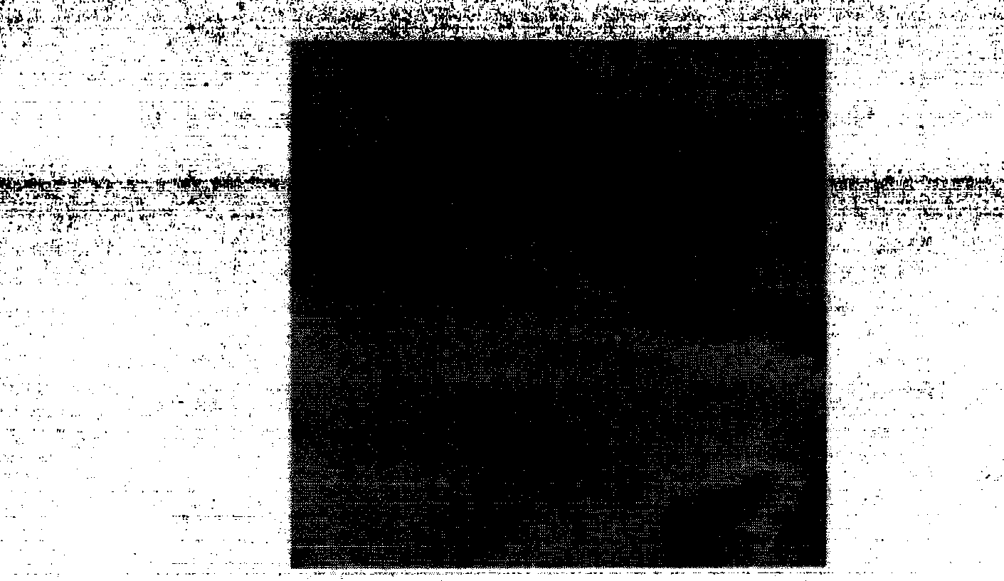 Large-breadth scene hyperfine simulation and geography continuous display technique