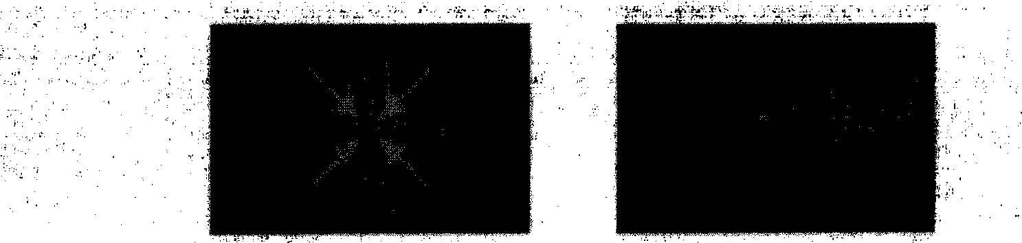 Large-breadth scene hyperfine simulation and geography continuous display technique