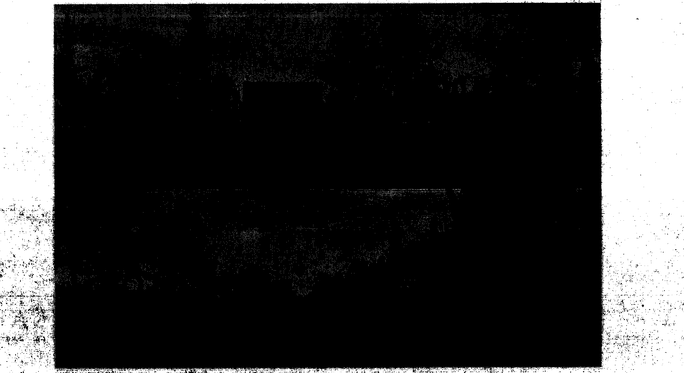 Large-breadth scene hyperfine simulation and geography continuous display technique