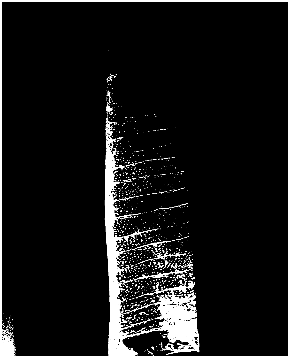 Bionic jejunum and preparation method thereof