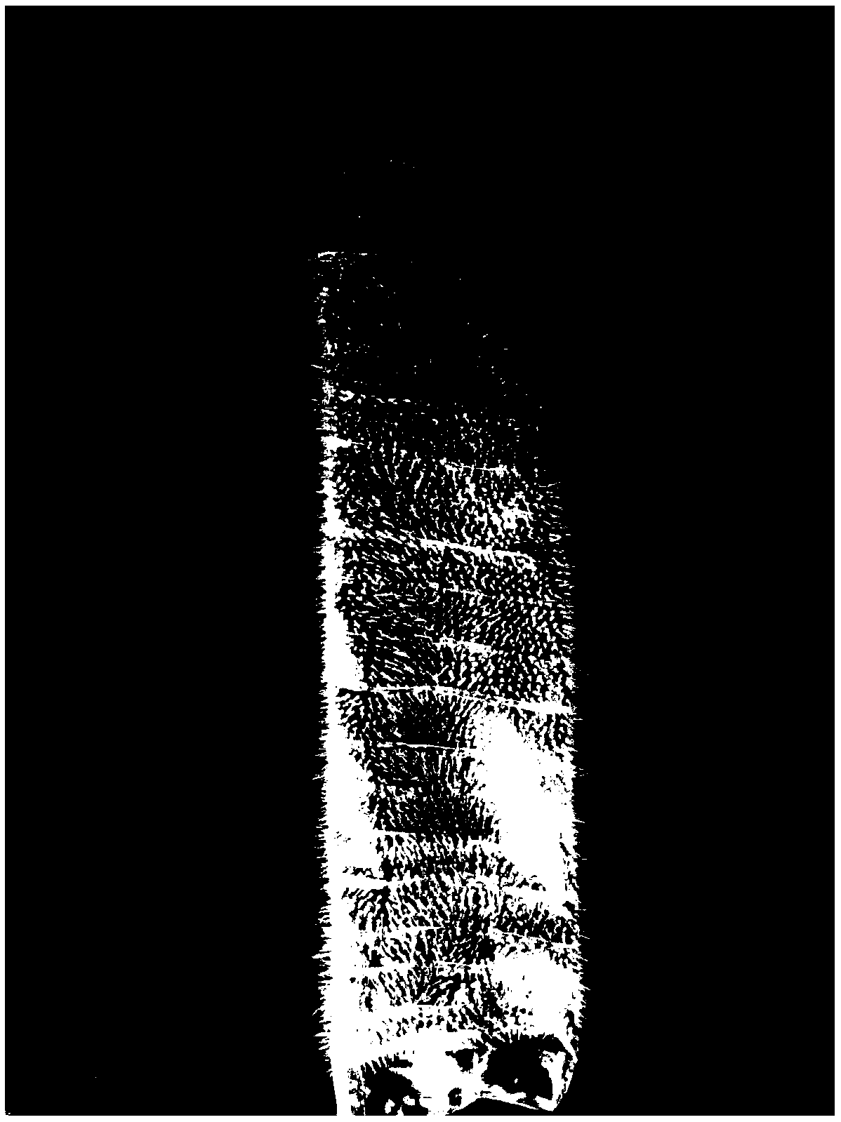 Bionic jejunum and preparation method thereof