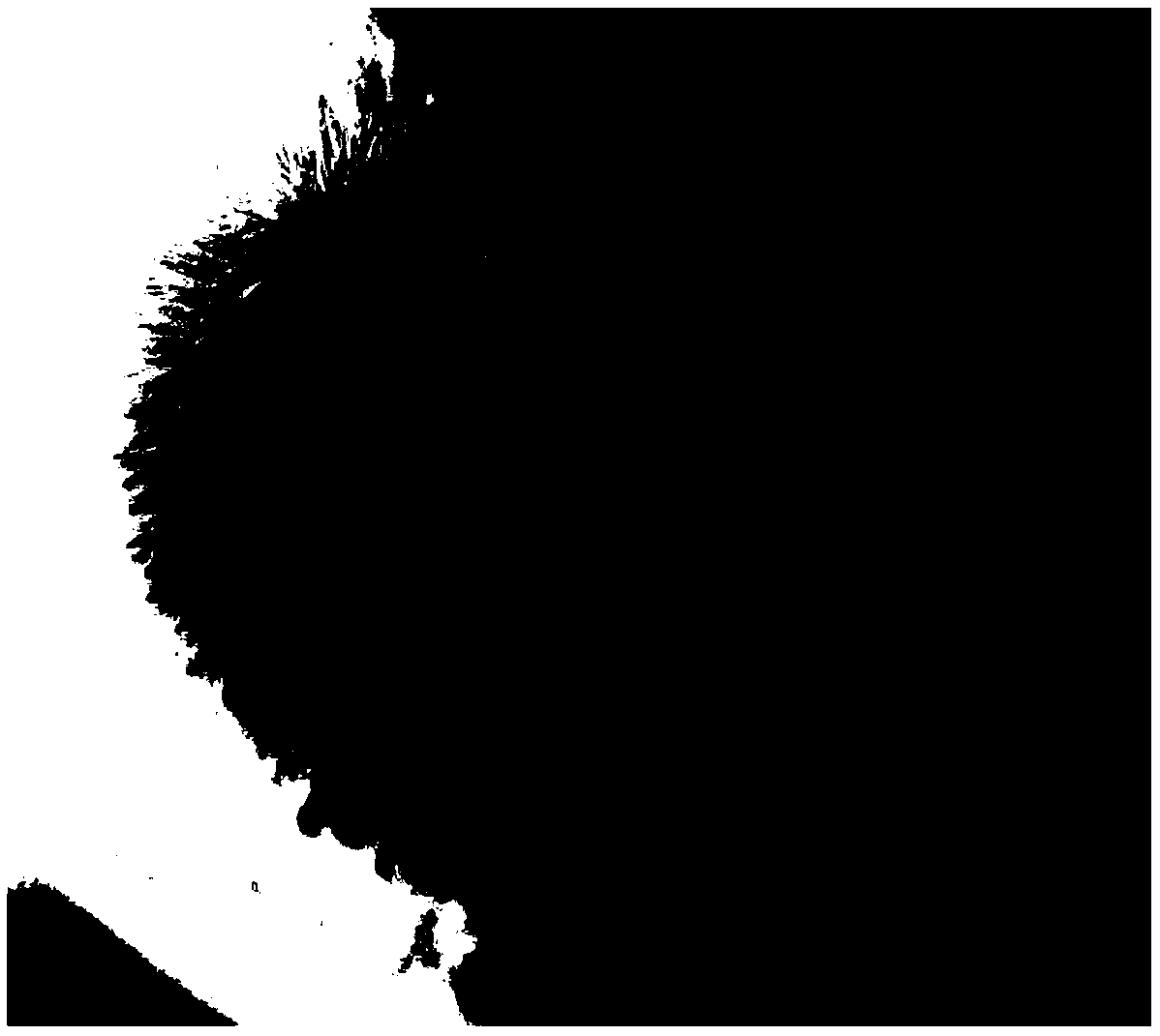 Bionic jejunum and preparation method thereof