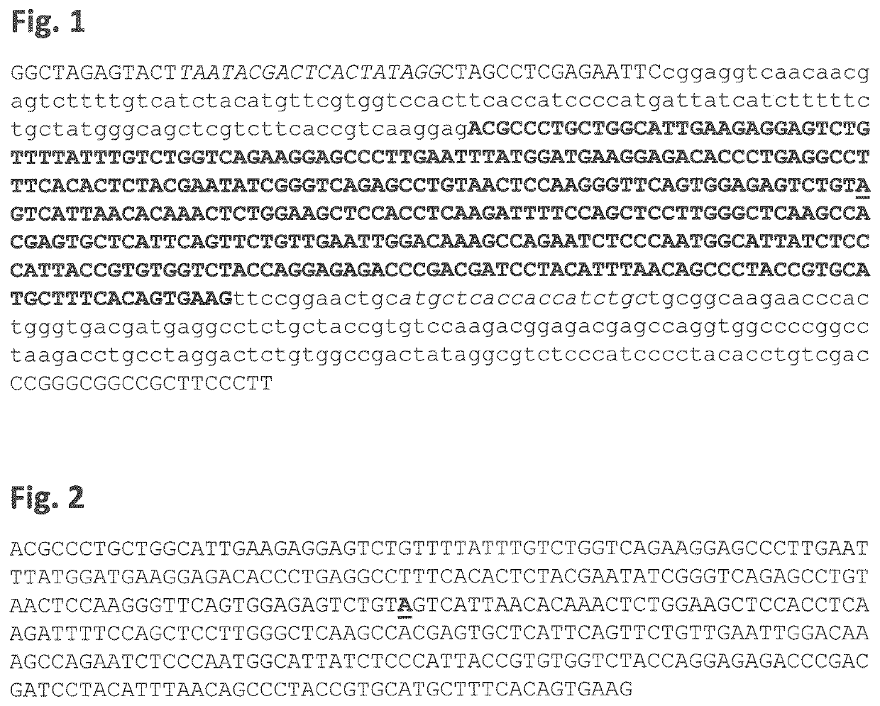 Rna-editing oligonucleotides for the treatment of usher syndrome