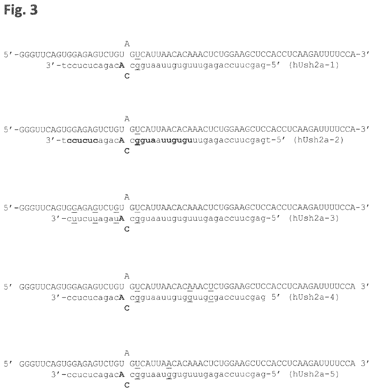 Rna-editing oligonucleotides for the treatment of usher syndrome