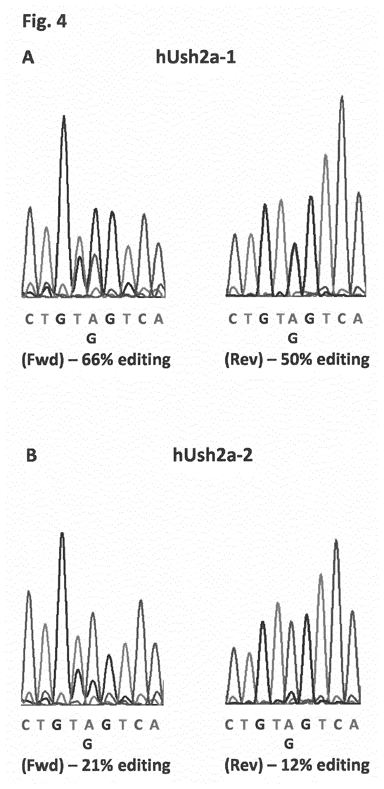 Rna-editing oligonucleotides for the treatment of usher syndrome