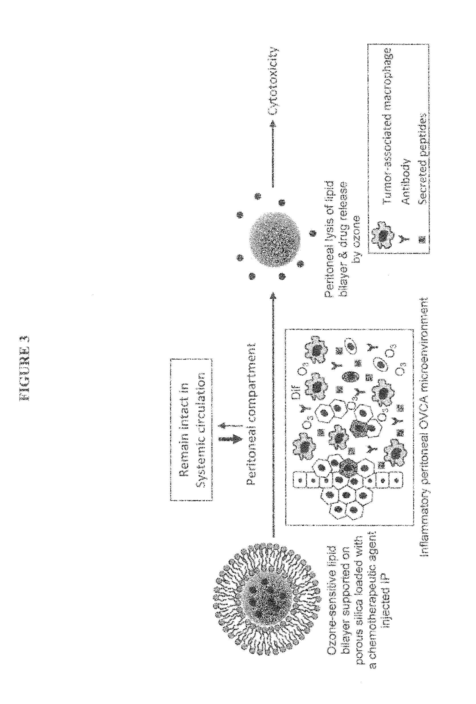 Intraperitoneally-administered nanocarriers that release their therapeutic load based on the inflammatory environment of cancers