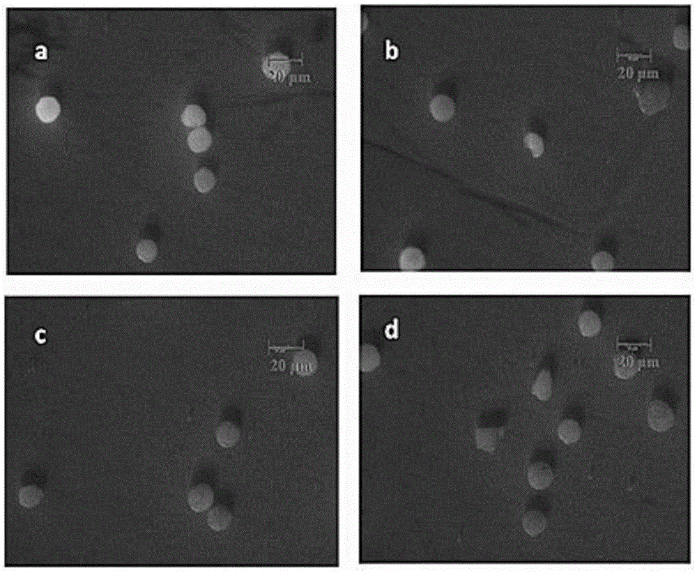 Method for rapid detection of in vitro DNA break damage strength by plasma