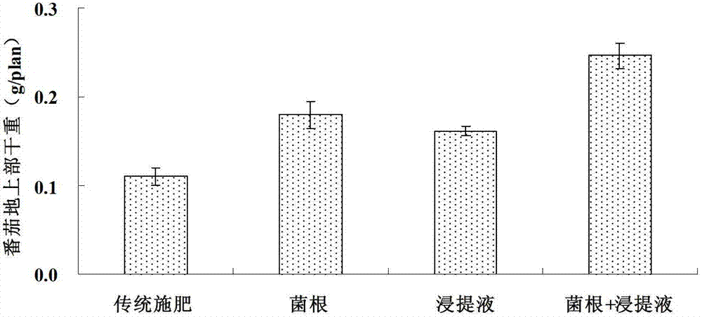 Crop straw leach liquor for improving fertilizer efficiency of mycorrhizal fungi fertilizer and preparation method of crop straw leach liquor