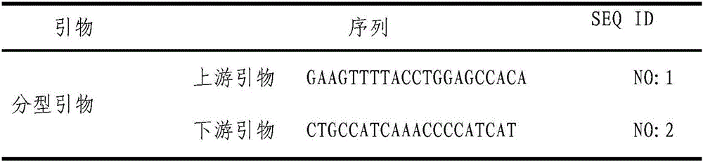 Detection method and application of chicken Salmonella enteritidis infection resistance molecular marker