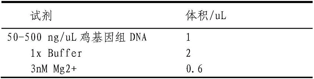 Detection method and application of chicken Salmonella enteritidis infection resistance molecular marker