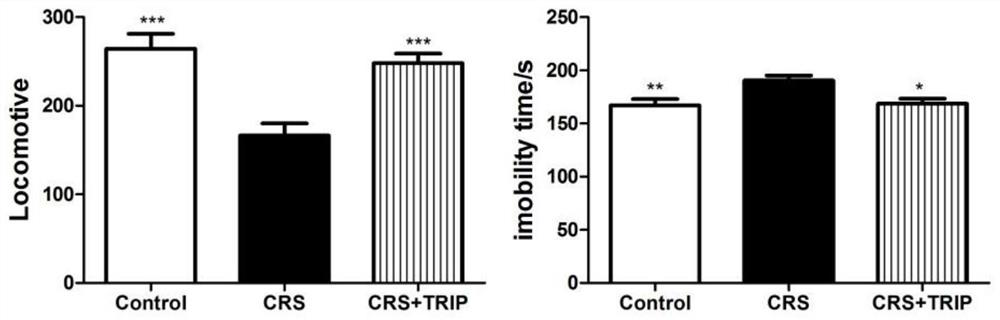 Application of triptorelin