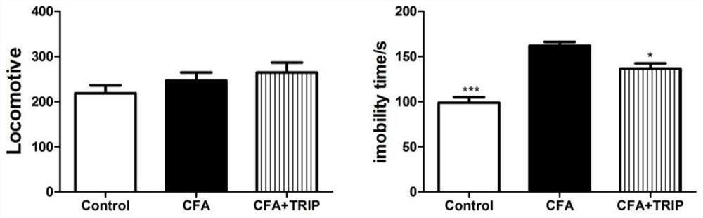 Application of triptorelin