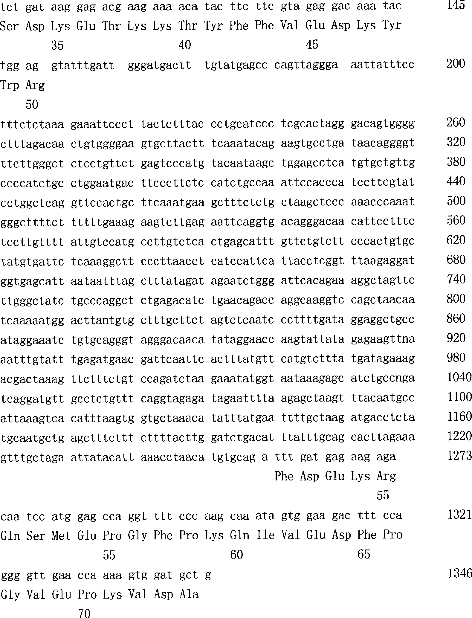 Separated nucleic acid sequence of total number of piglets related gene MMP3