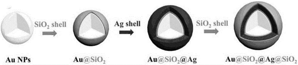 Multilayer core-shell structured Au@SiO2@Ag@SiO2 nano composite material and preparation method therefor