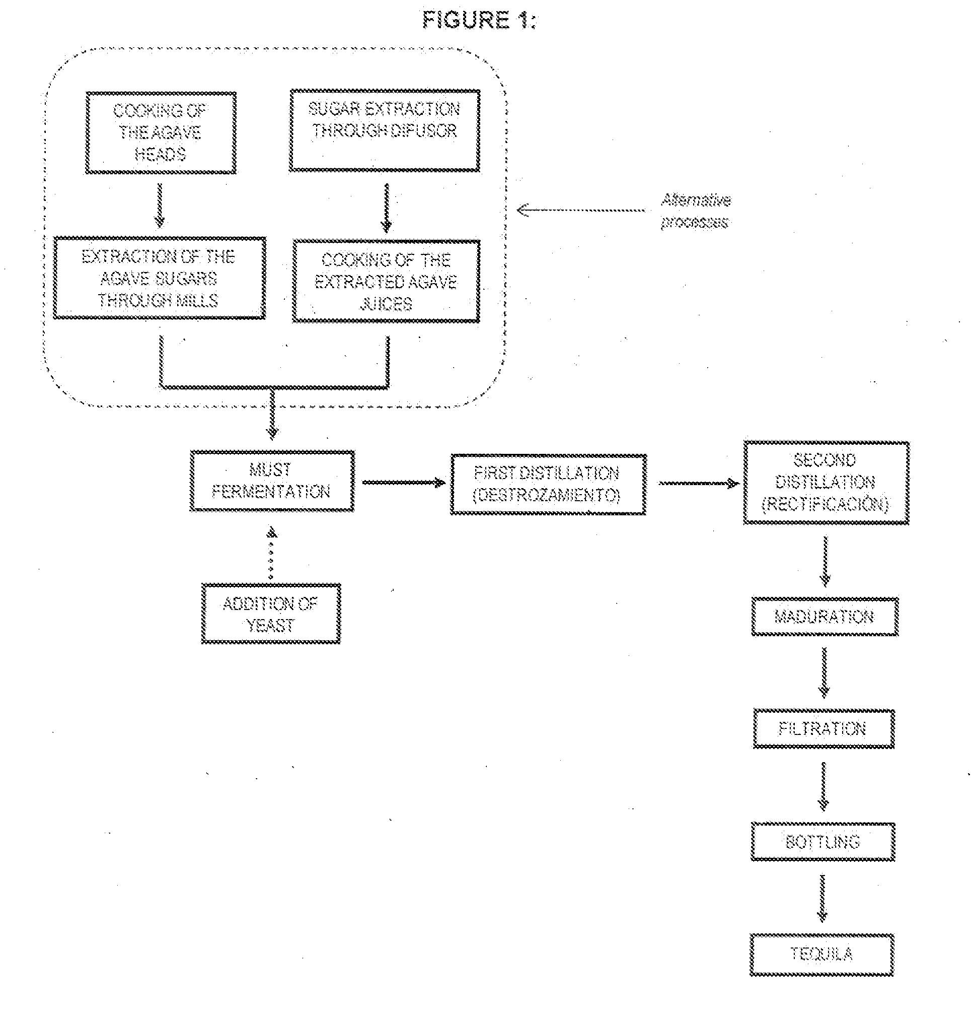 Method of Producing an Agave-Based Beer-Type Alcoholic Drink