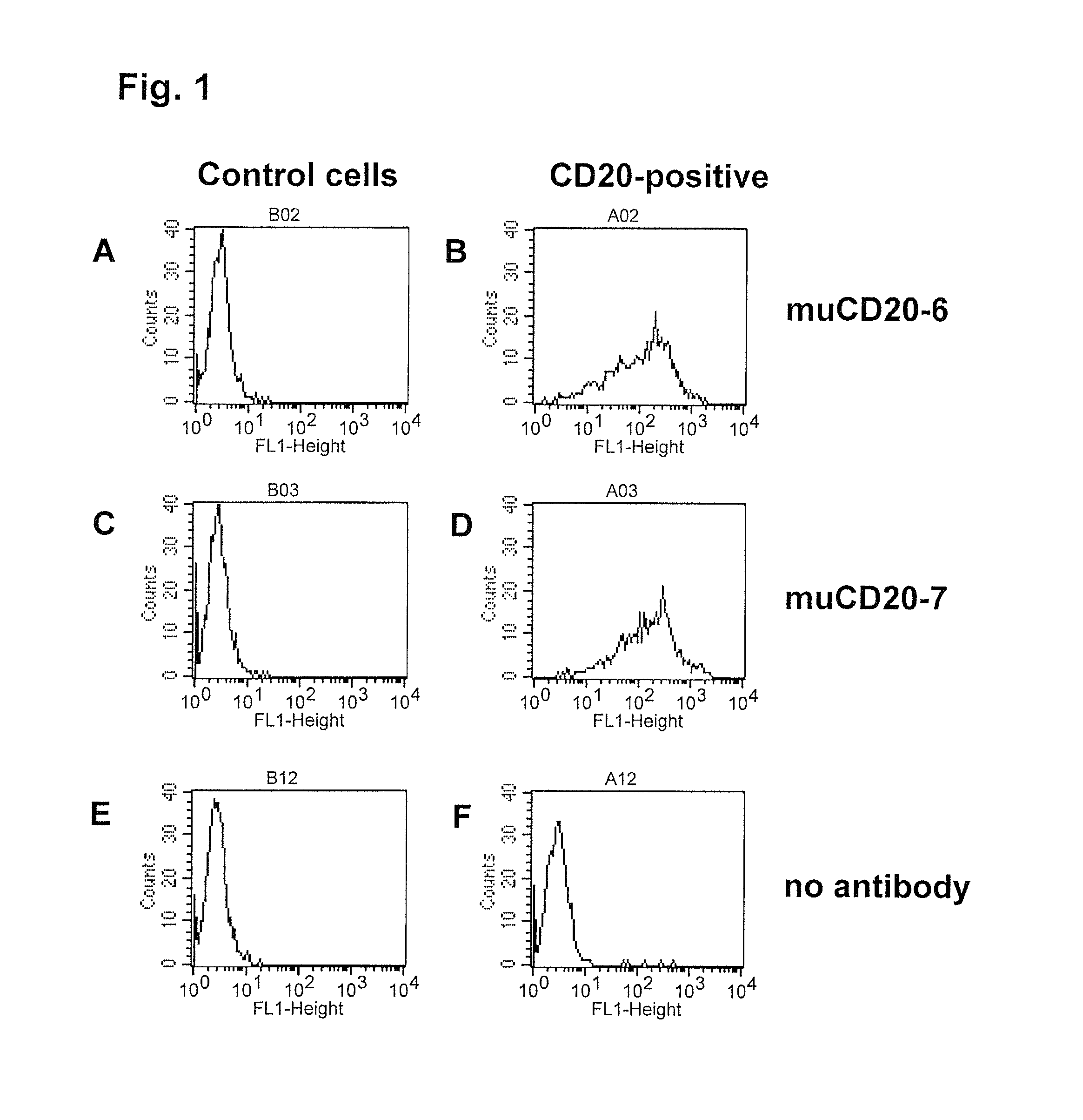 CD20 antibodies and uses thereof