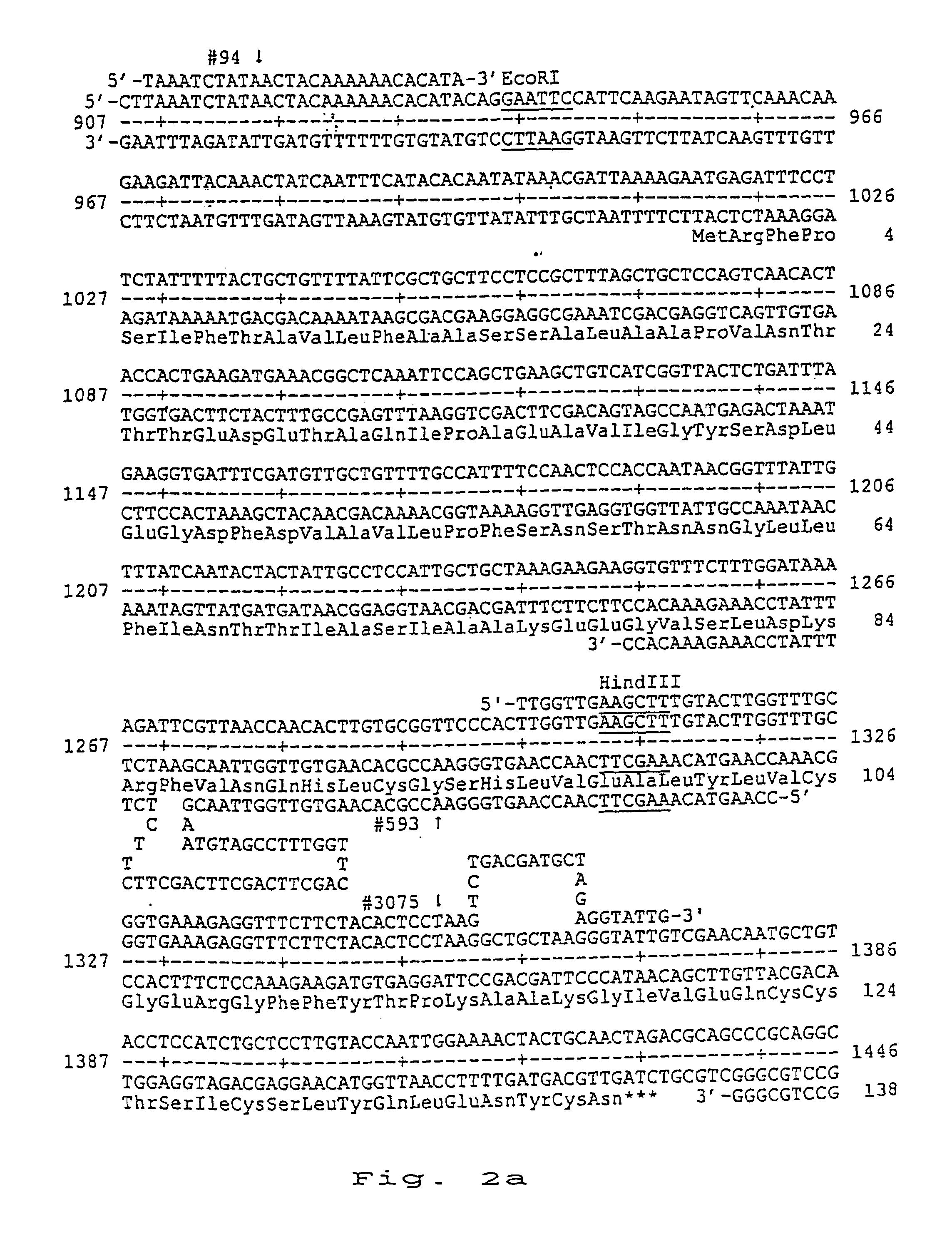 Insulin derivatives