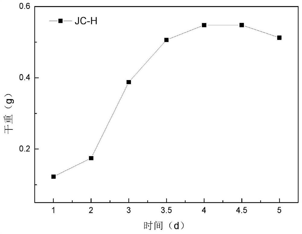 Acid-producing bacterium JC-H and application thereof as well as culture and identification method of acid-producing bacterium JC-H