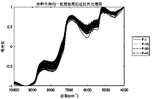 Rapid identification method for different storage times of iced fresh beef