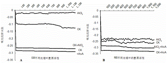 Application of ascorbic acid to improvement of plant photosynthesis efficiency