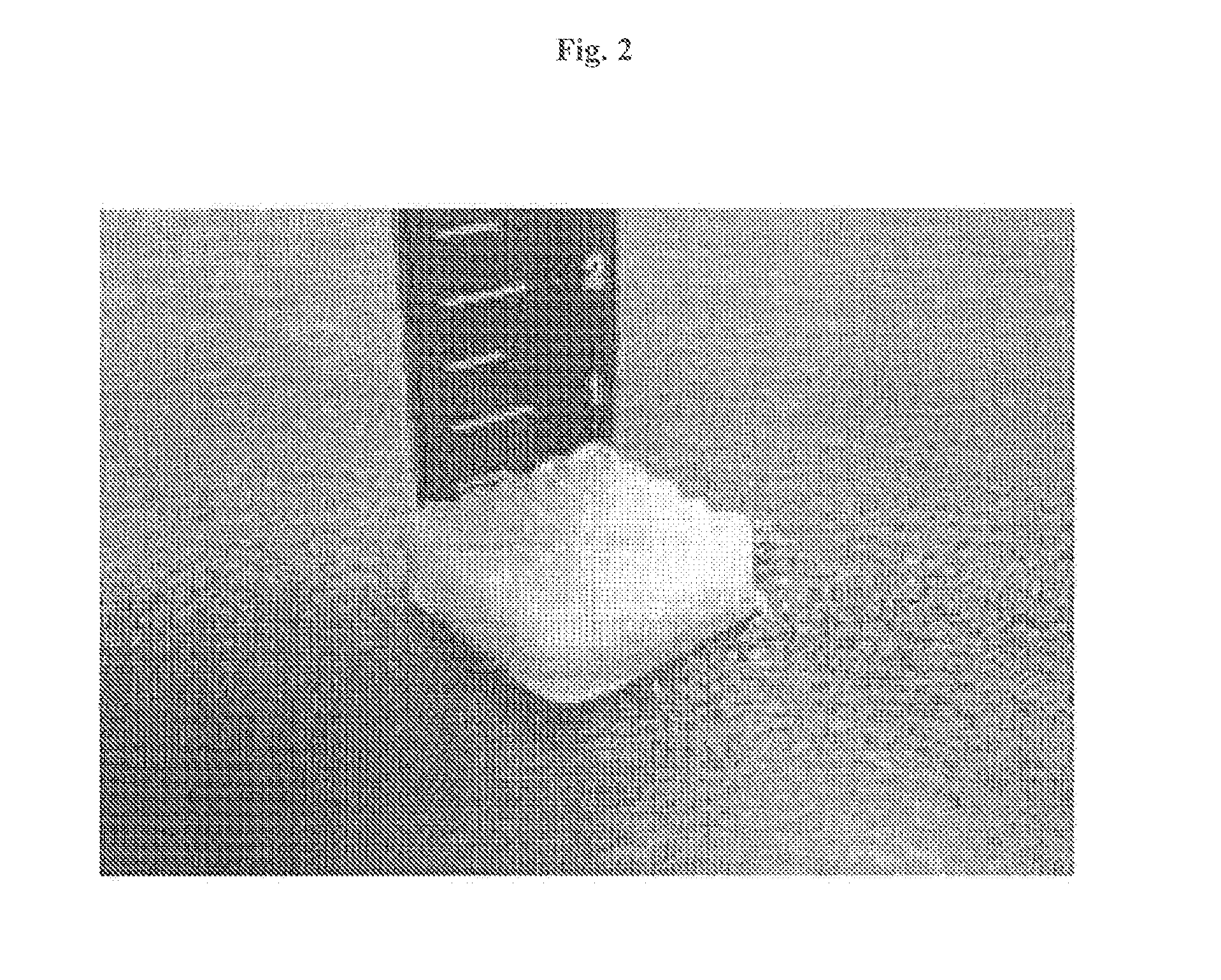 Complex support body for regenerating bone-cartilage, method for manufacturing thereof, and composition for treating bone and cartilage related diseases comprising same as active ingredient