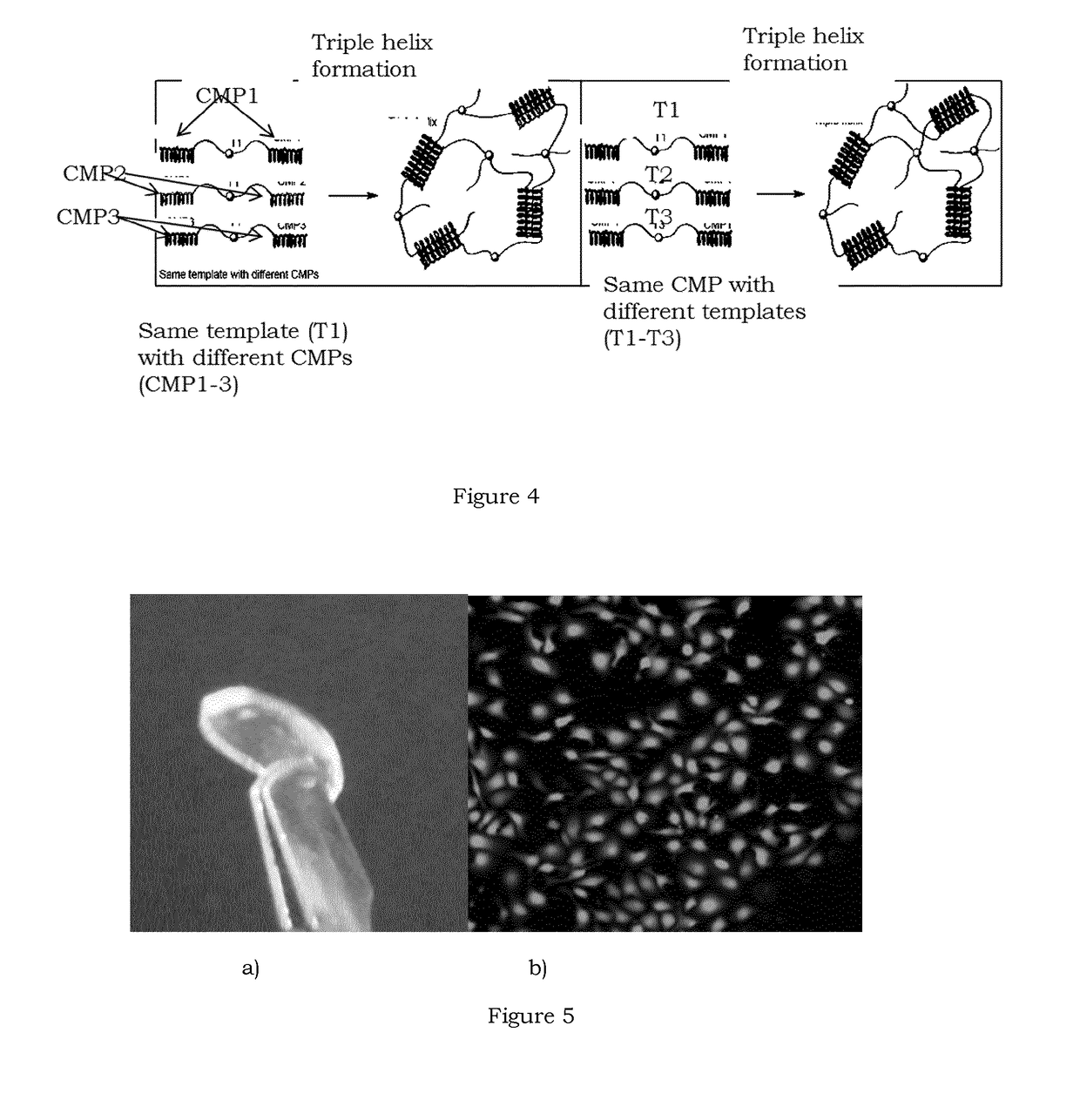 Regenerative prostheses as alternatives to donor corneas for transplantation