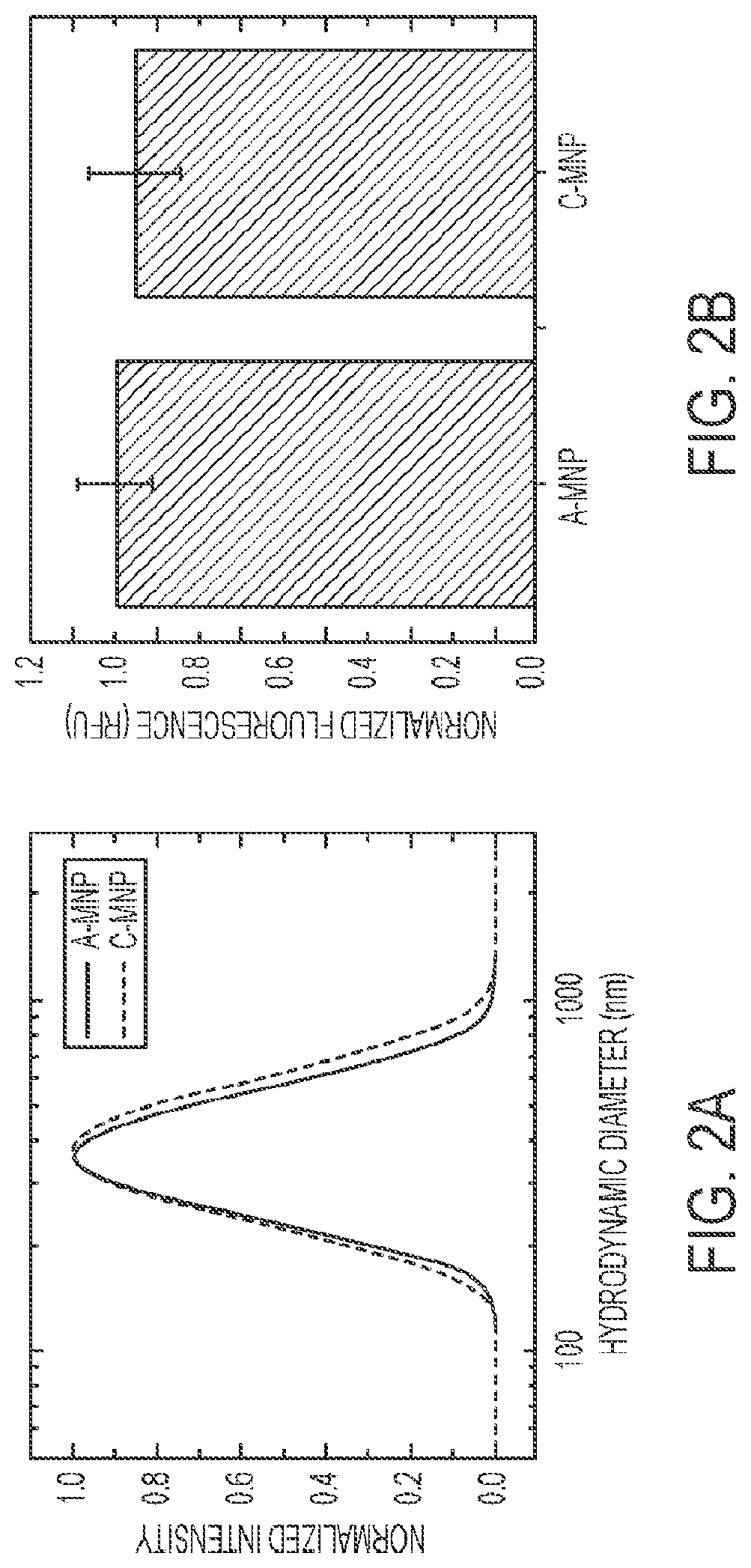 Mesoscale nanoparticles for selective targeting to the kidney and methods of their therapeutic use