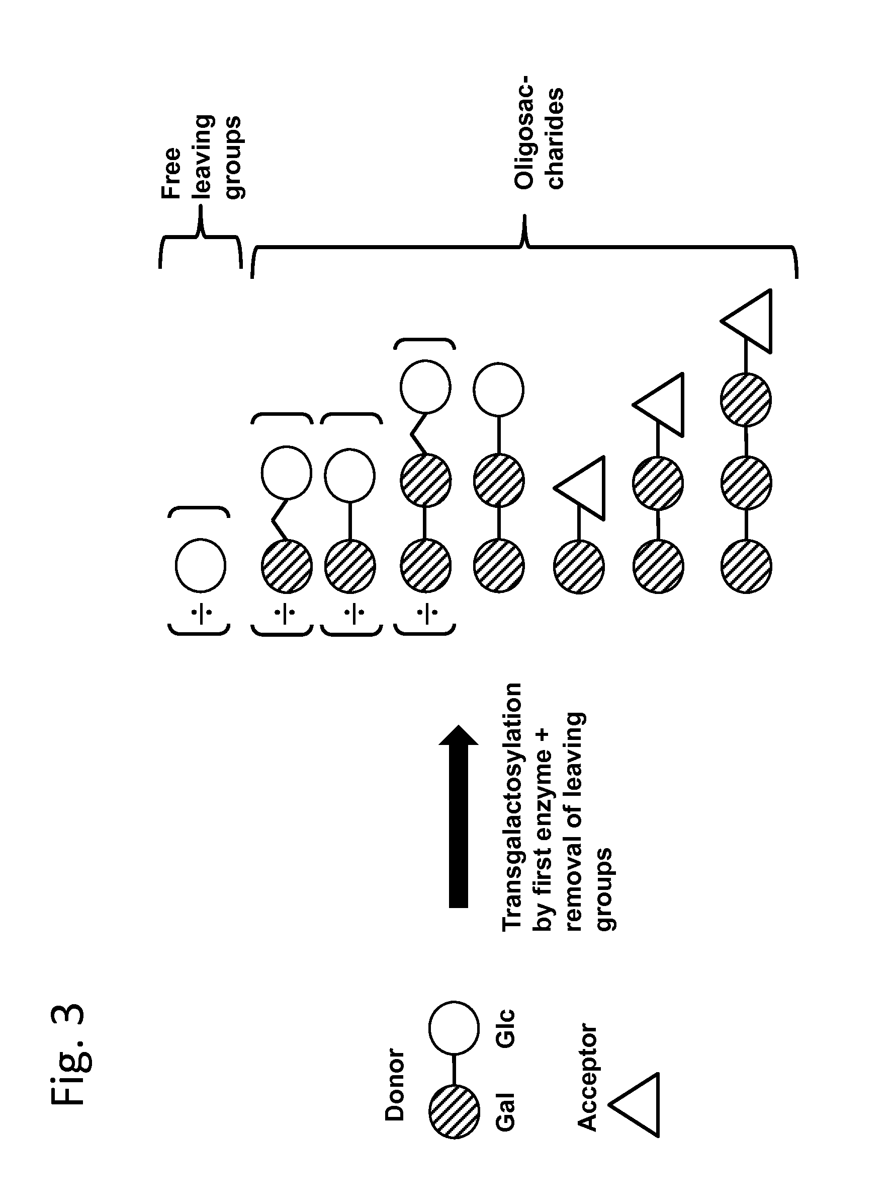 Method of producing a composition containing galacto-oligosacchardies