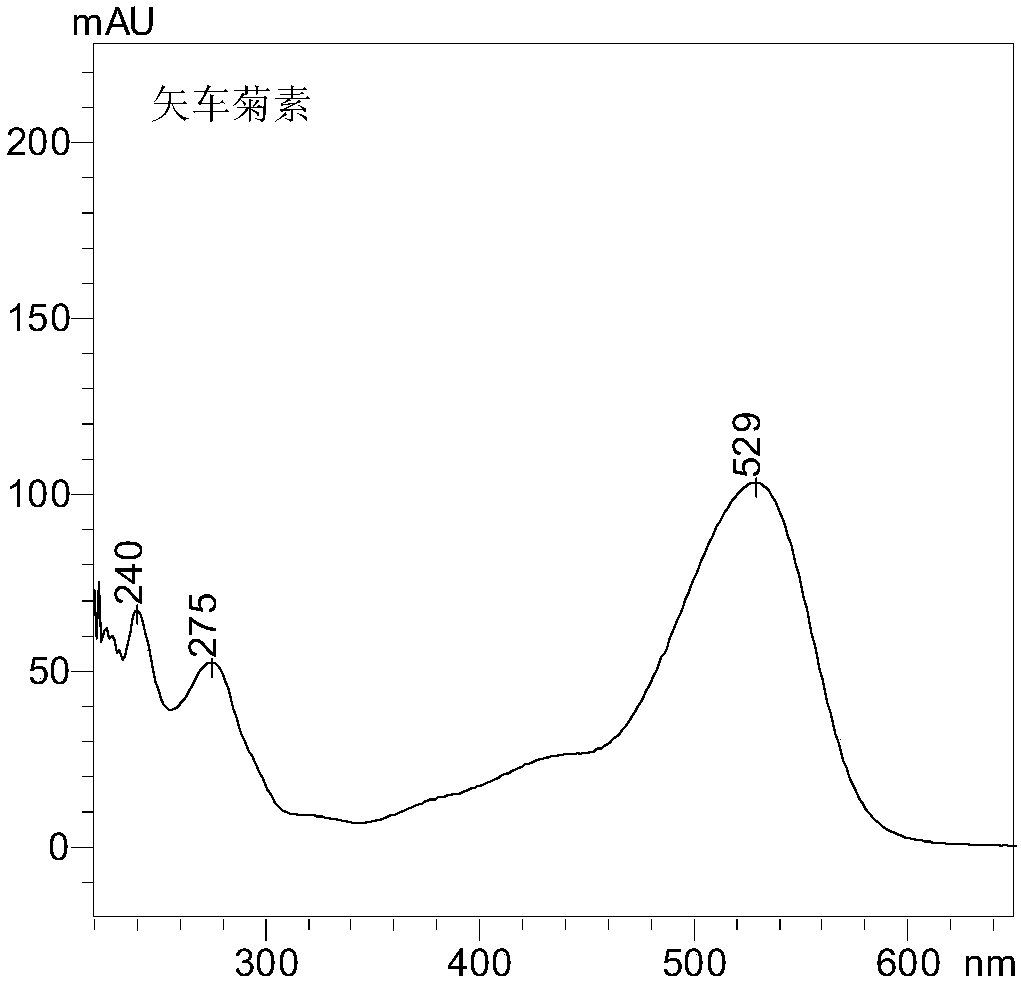 Preparation method of pyran-type anthocyanin aglycone