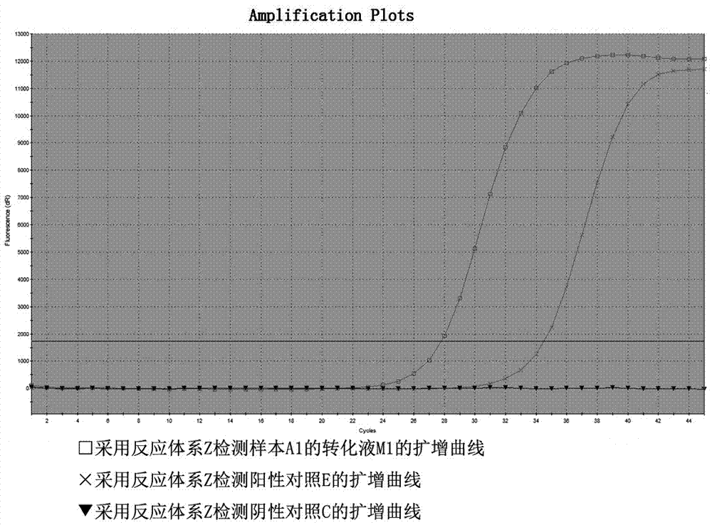 Primer probe system for SEPT9 (septin-9) gene methylation detection and kit adopting primer probe system