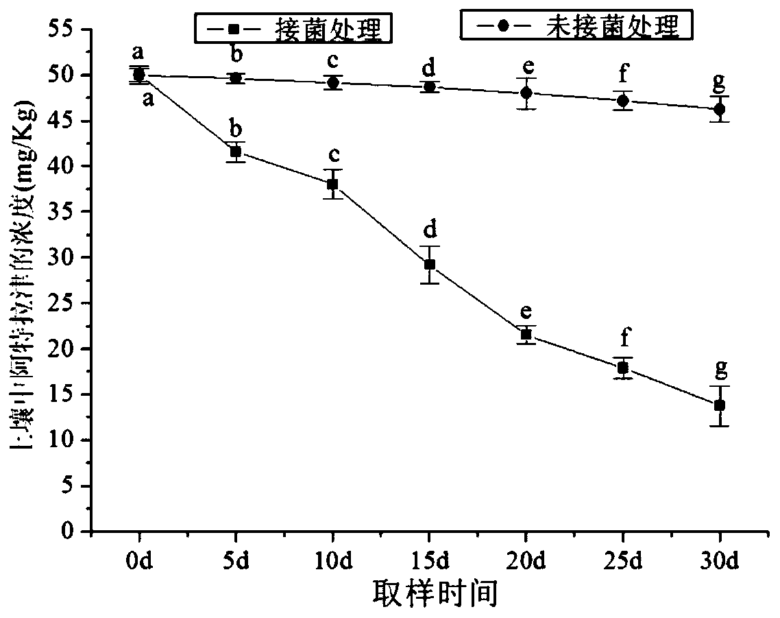 Pseudomonas mendocina capable of effectively degrading atrazine and application of Pseudomonas mendocina