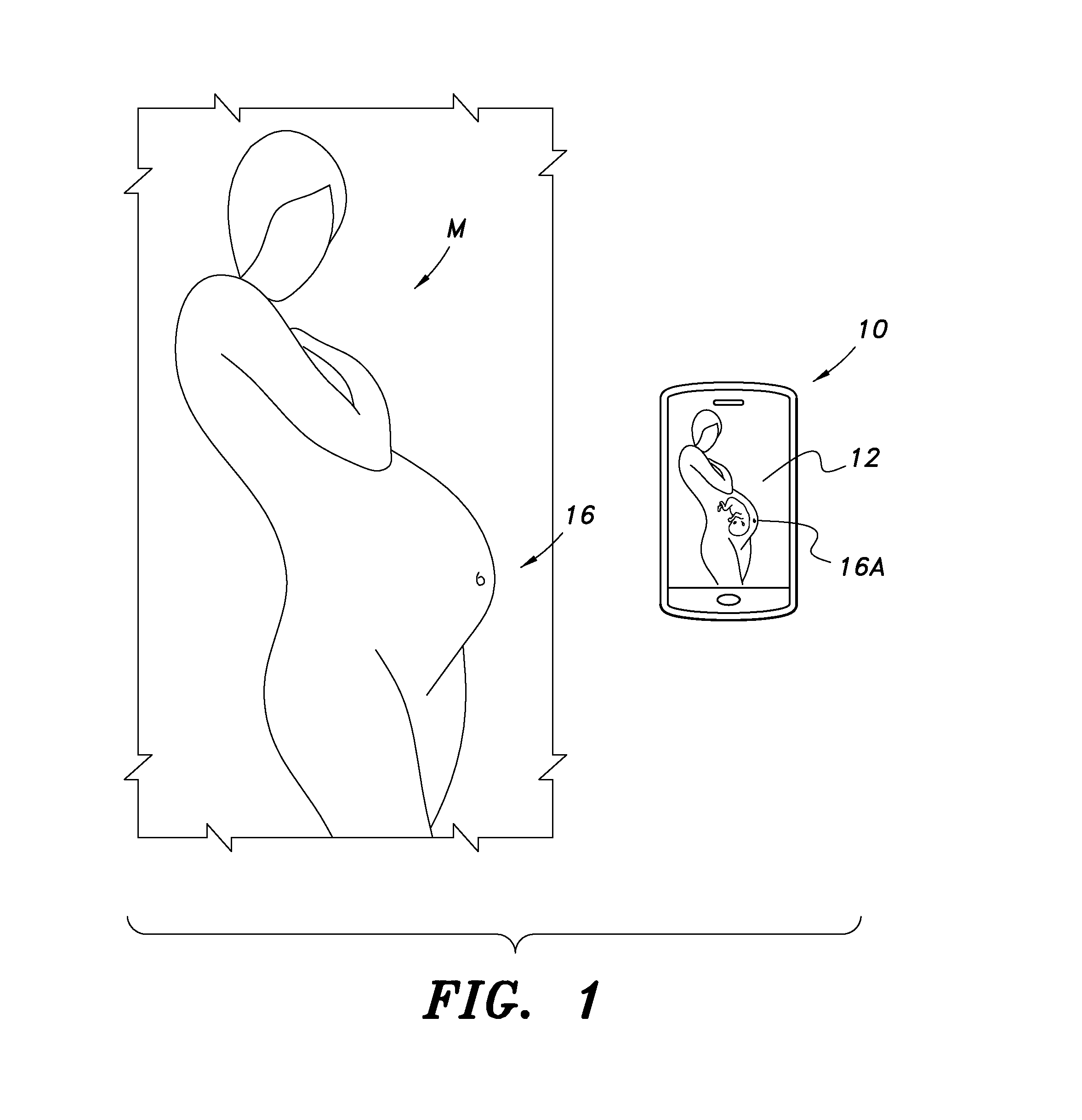 Device and method for displaying fetal positions and fetal biological signals using portable technology