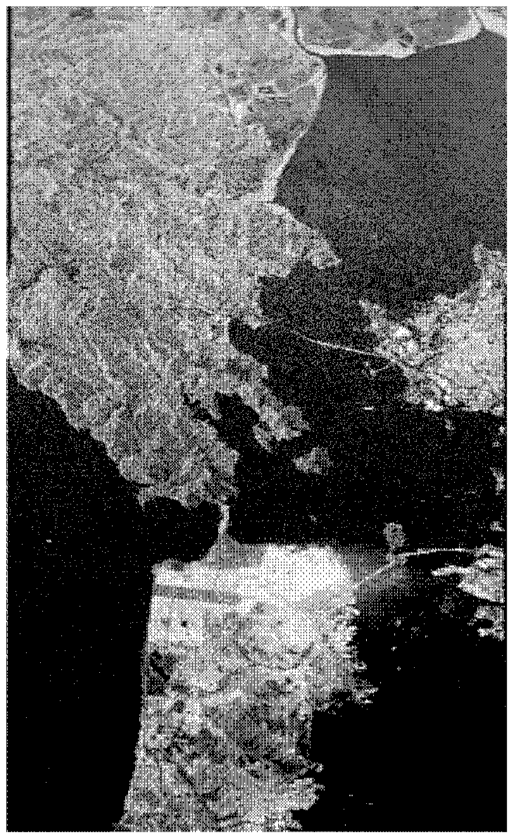 Isolation Evaluation Method for Fully Polarized SAR Based on Distributed Targets