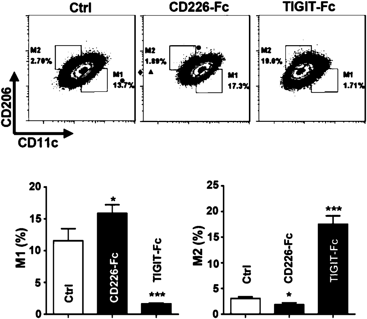 Recombinant fusion protein TIGIT-Fc and application in resisting transplant rejection thereof