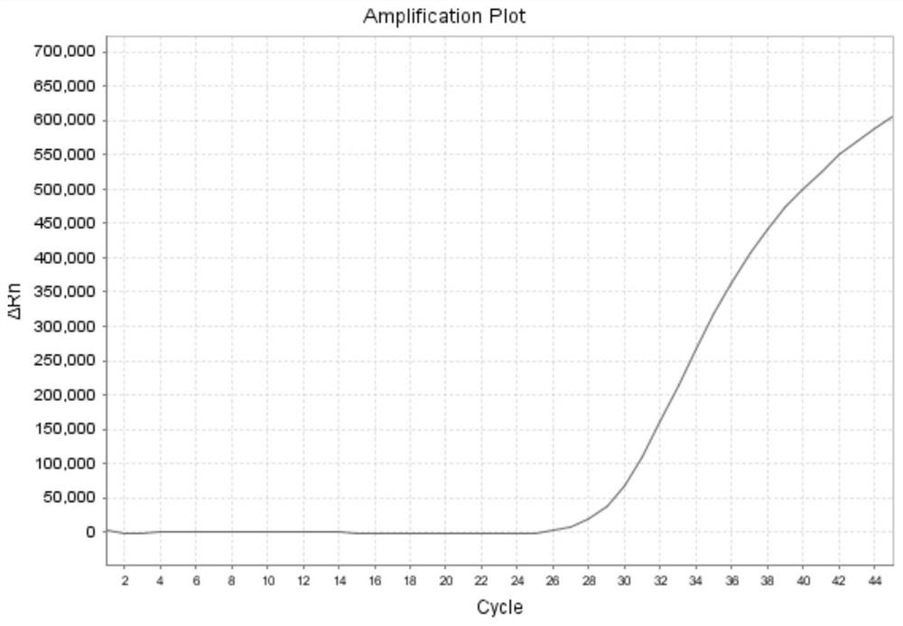 Influenza A virus detection kit and detection method thereof