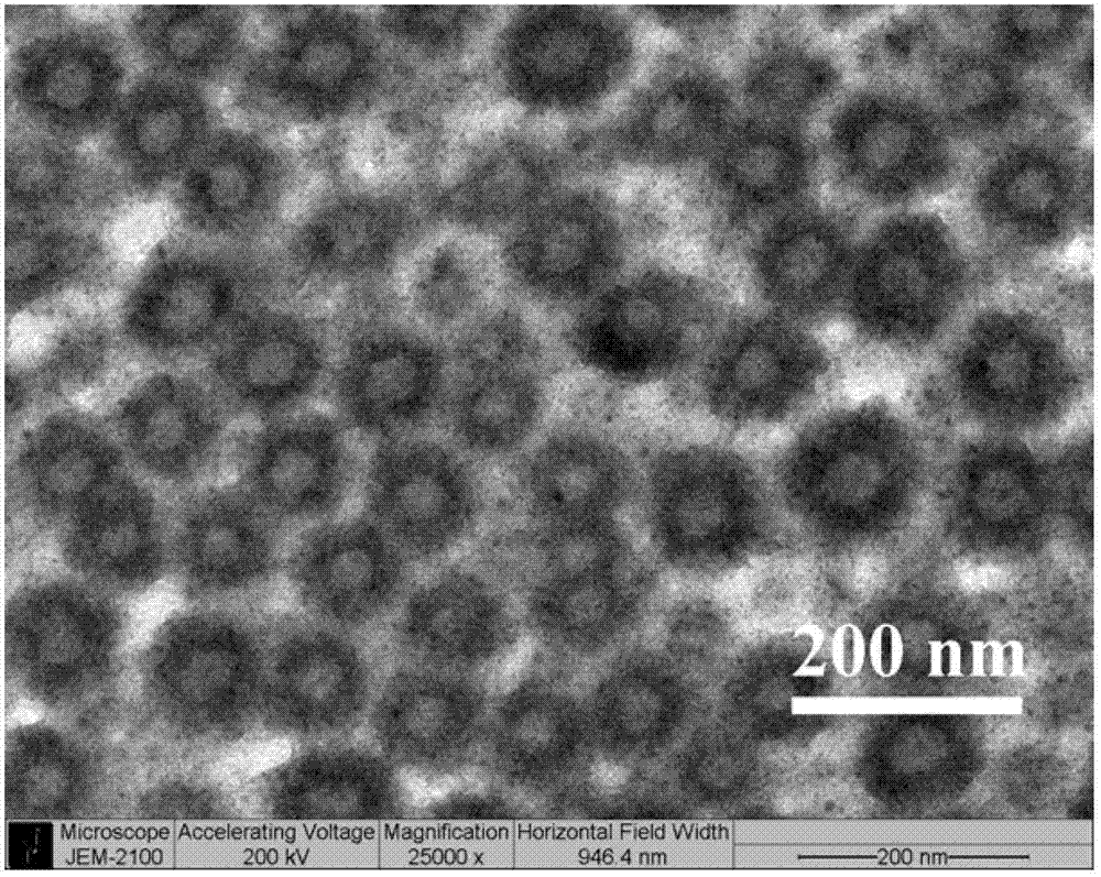Nanoparticles for encapsulating polyphenol active substances and preparation method thereof