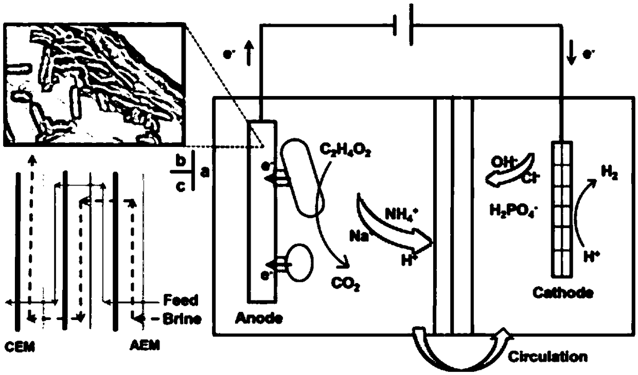 MEDC (Microbial Electrolytic Desalting Cell) reactor device