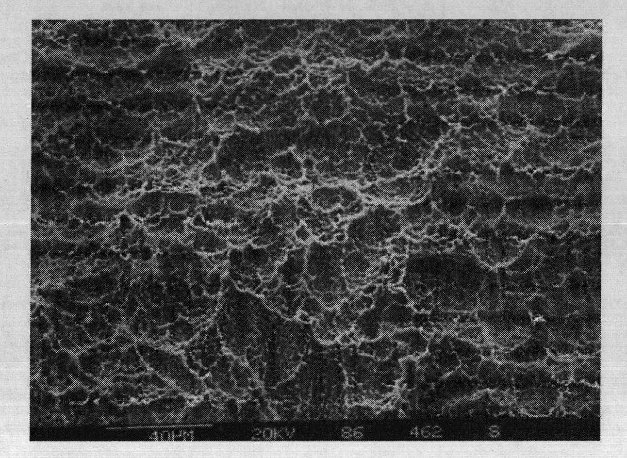 Preparation of nano-coating micropore surface implant having regeneration activity and antibacterial property