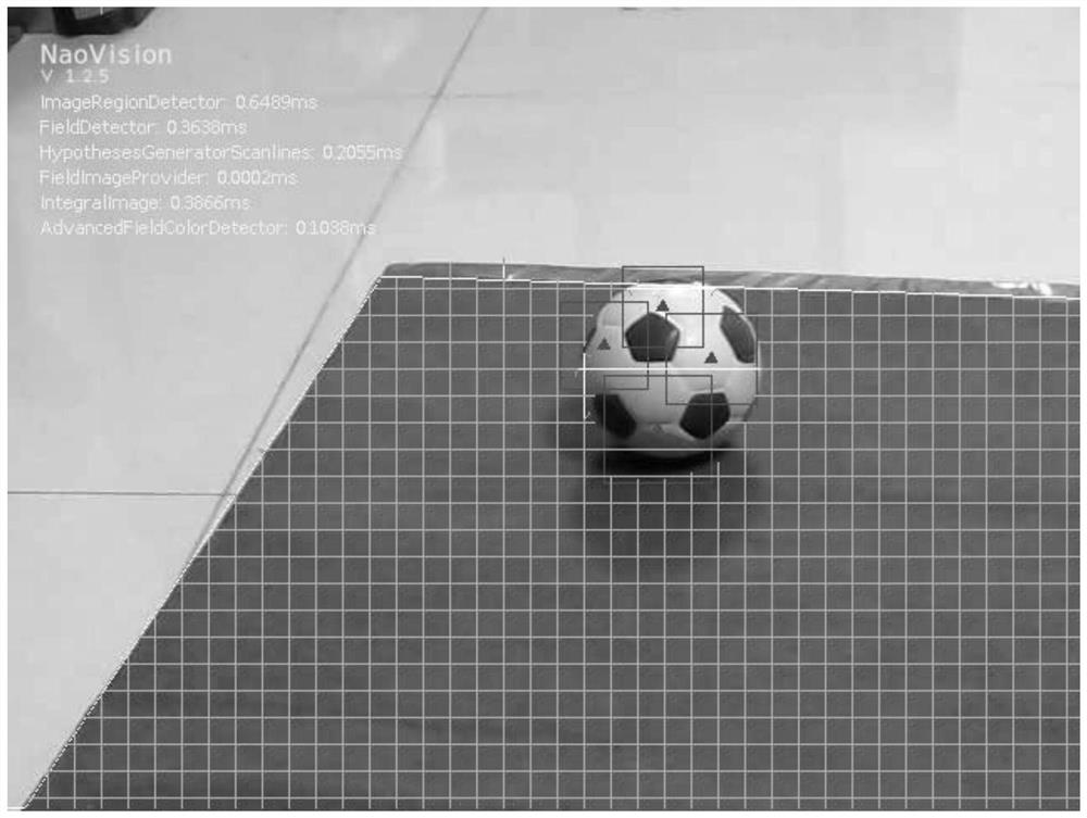 Rapid and high-accuracy NAO type soccer robot visual processing method