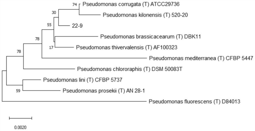 Biocontrol of Pseudomonas and its application