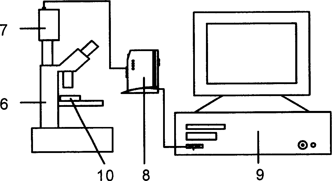 Microscopic electrochemical analyzer