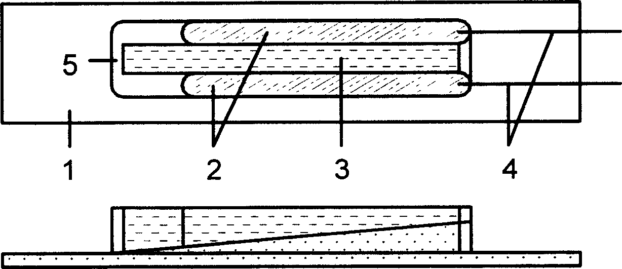 Microscopic electrochemical analyzer