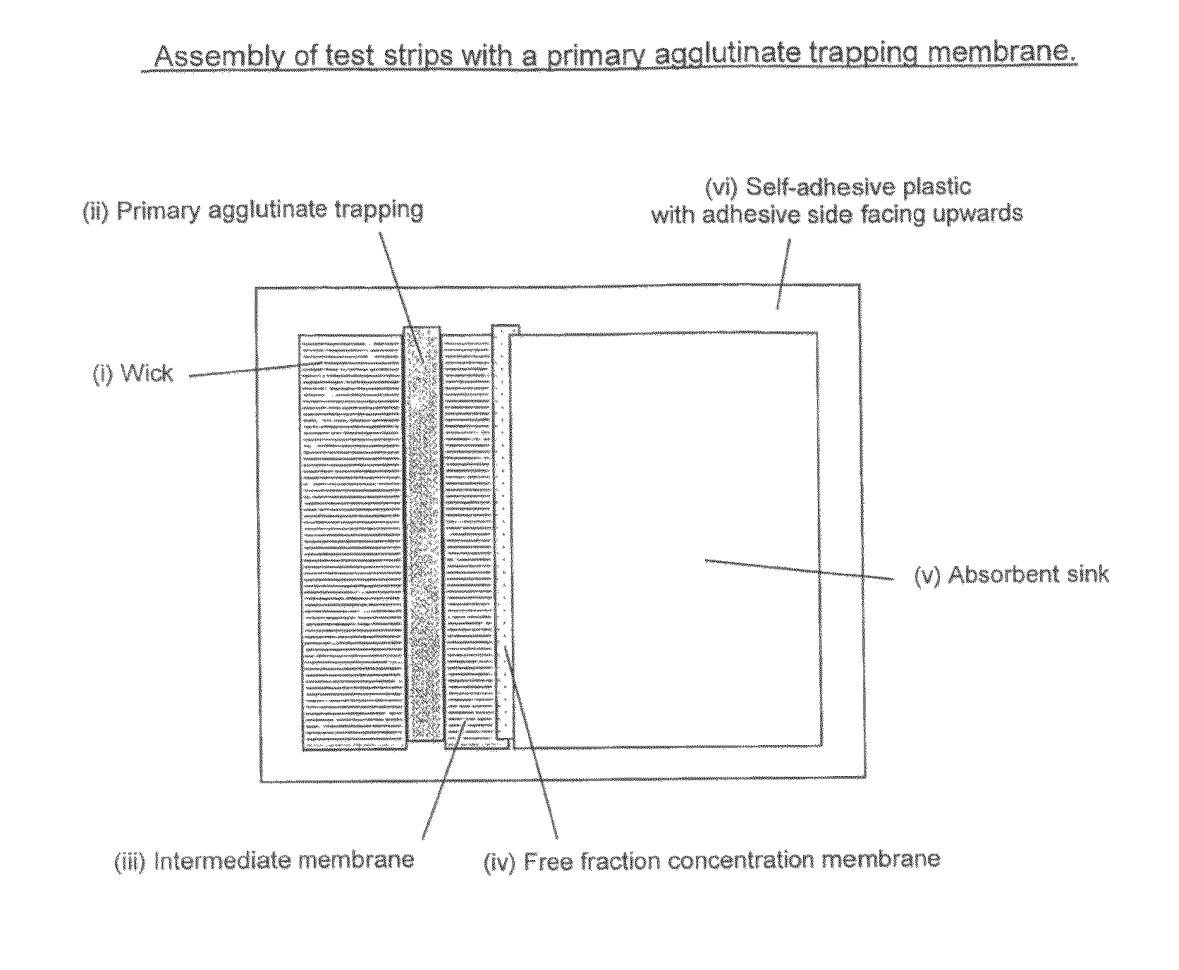 Saturation assay