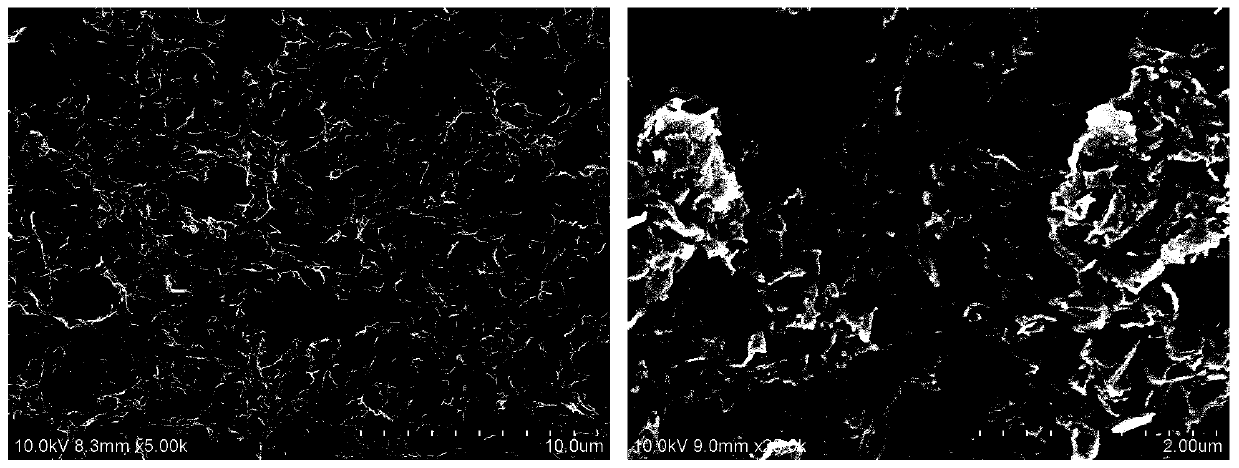 Method for preparing sheet polypyrrole with high conductivity