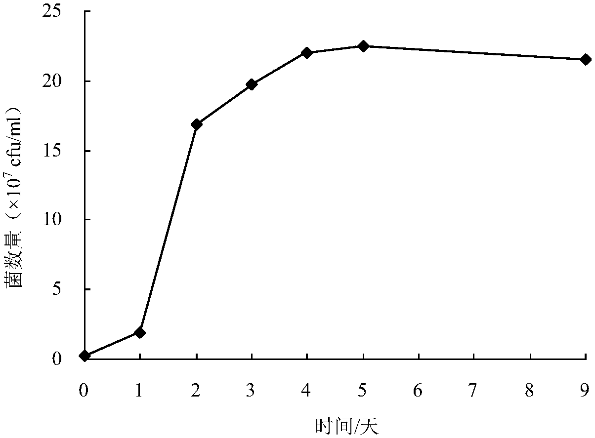Rhodococcus rhodochrous bacterial strain XHRR1 for purifying ammonia in aquatic water and application thereof
