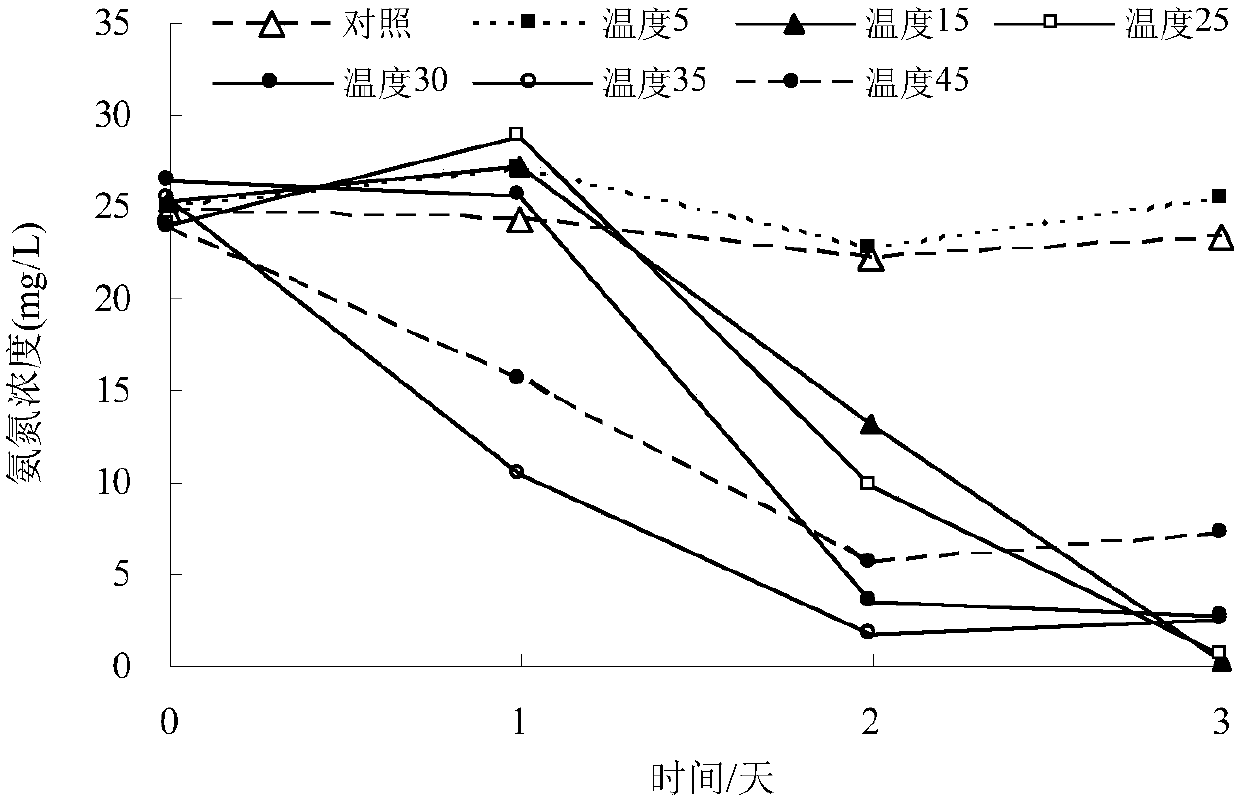 Rhodococcus rhodochrous bacterial strain XHRR1 for purifying ammonia in aquatic water and application thereof