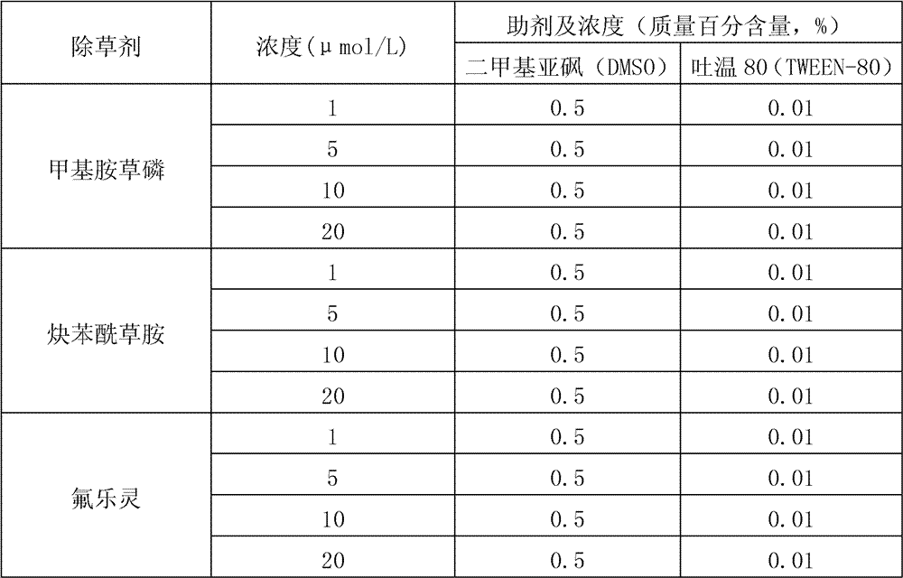 Method for doubling corn haploid by herbicide and special herbicide of method