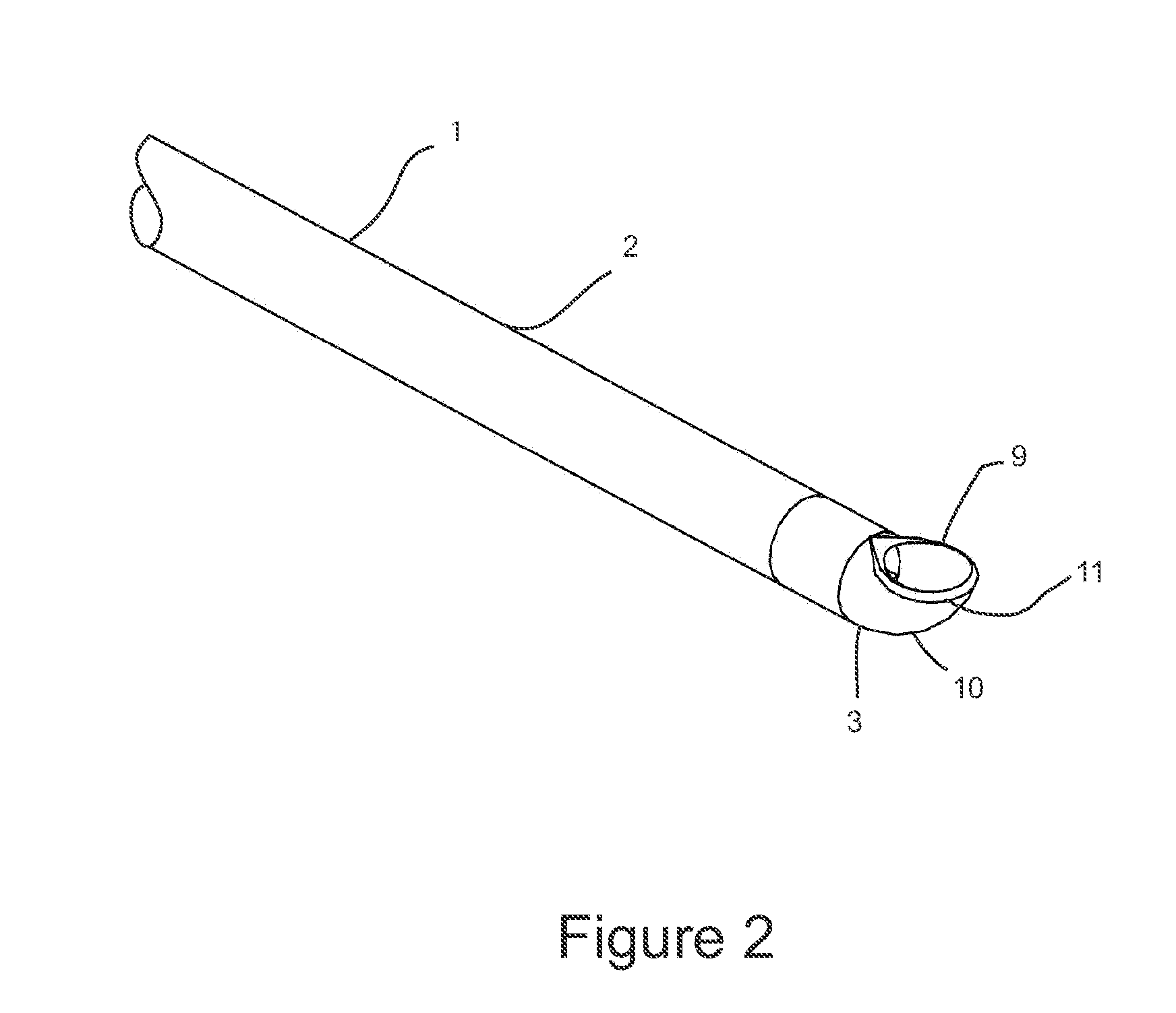 Direct vision cryosurgical probe and methods of use